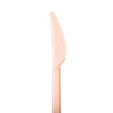 Compostable Knives (Natural Agave)