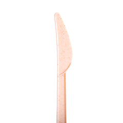 Compostable Knives (Natural Agave)