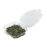 Contenant_a_charniere_compostables_8oz_compartment_clamshell_container_PLA
