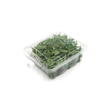 Compostable Rectangular and Square Clamshell Containers (Transparent PLA)