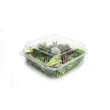 Compostable Rectangular and Square Clamshell Containers (Transparent PLA)