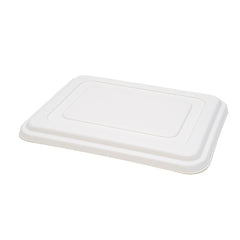 Bento Boxes (Bagasse)