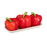 EC_112_Barquettes_compostable_pulp_tray