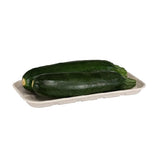 EC_117_Barquettes_compostable_pulp_tray