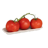 EC_118_Barquettes_compostable_pulp_tray