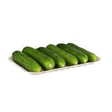 EC_202_Barquettes_compostable_pulp_tray