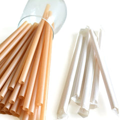 Compostable Sugarcane Straws (Wrapped)