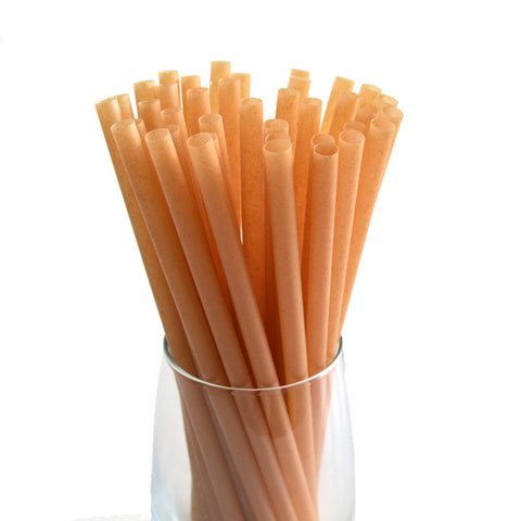 Compostable Sugarcane Straws (unwrapped)