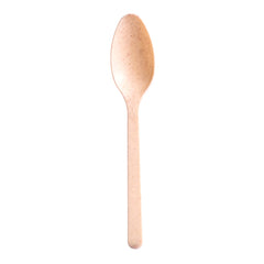 Cuillères compostables (agave naturel)