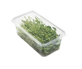 Compostable Hinged Herb Trays (Transparent PLA)