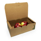 Boîtes_à_lunch_compostables_lunch_box