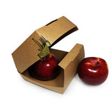 Contenants_charnière_carrés compostables_clamshell_Container_paper_kraft